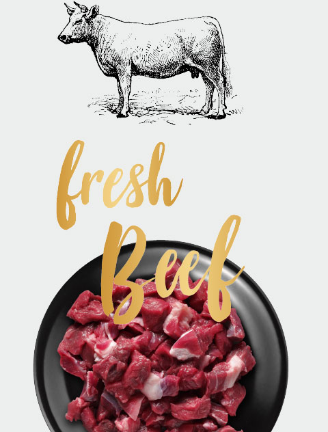 LEONARDO fresh beef LEONARDO fresh beef