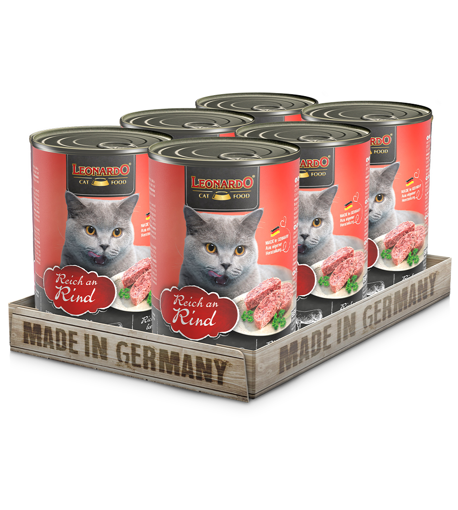 high protein can cat food